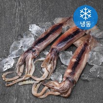 바다자리 국산 자연산 선동 초코오징어 3미 (냉동), 850g, 1팩