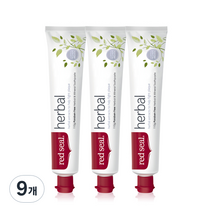 레드씰 허브 치약, 110g, 9개