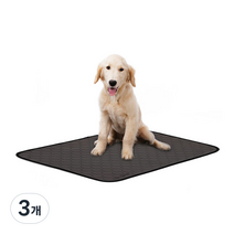 딩동펫 반려동물 빨아쓰는 소변매트, 3개, 1개입