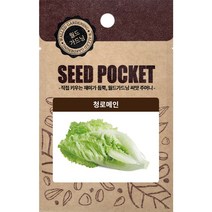 월드가드닝 행복한 텃밭 좋은 씨앗 청로메인 2000개, 1개