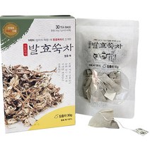 선재광 박사 발효 쑥차, 1g, 30개입, 1개