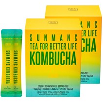 선망 콤부차 레몬, 5g, 30개입, 2개