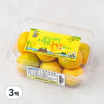 귤탐 당도선별 하우스감귤, 500g(2S-M), 3팩