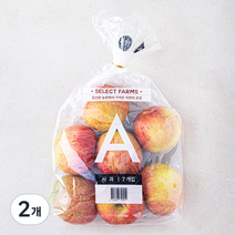 셀렉트팜 GAP 인증 A사과 중소과 7입, 1.5kg, 2개