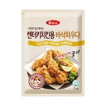 움트리 켄터키 치킨용 바삭 파우다, 1kg, 1개