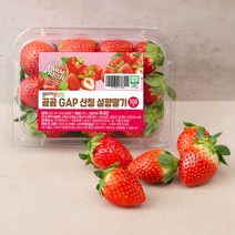 딸기농장딸기설향딸기 판매순위 가격비교 리뷰