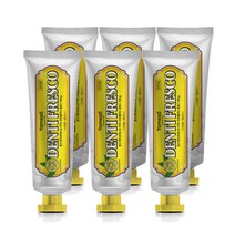 탐사 덴티프레스코 레몬민트향 구취케어 치약, 100g, 6개