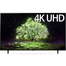 LG전자 OLED48A1KNA NS홈쇼핑 전국무료, 벽걸이