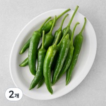 곰곰 국내산 오이맛 고추, 200g, 2개