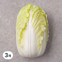 국내산 알배기배추, 800g, 3개