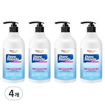 탐사 퓨어 핸즈 에탄올 70% 손소독제, 500ml, 4개