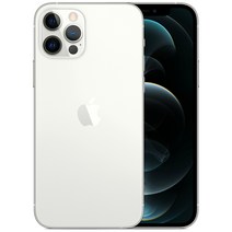 Apple 아이폰 12 Pro 자급제, 실버, 256GB