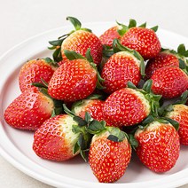 곰곰 고령 딸기, 750g, 1팩