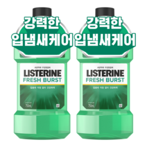 리스테린 후레쉬 버스트 구강청결제, 750ml, 2개