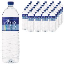 광천수 일화 광천수, 30개, 2L