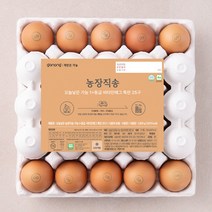 오늘낳은 농장직송 가농 비타민에그 1+ 등급 특란 25구, 1500g, 1개