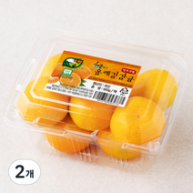 올레길감귤 GAP 인증 해풍맞은 올레길 당도선별 하우스감귤, 500g, 2개