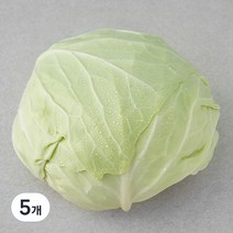 국내산 친환경 양배추, 1통, 5개