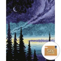 아트조이 물감 2배 DIY 명화그리기 40 x 50 cm, 신비로운 밤