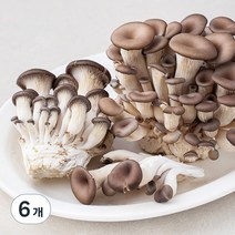 곰곰 친환경인증 참타리버섯, 300g, 6개