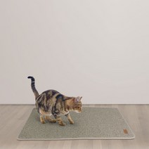 펫츠몬 고양이 카페트 스크래처 XL, 브라운, 1개