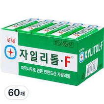 롯데제과 자일리톨껌, 24g, 60개