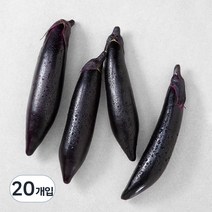 국내산 가지, 4개입, 5개