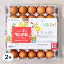 가농 무항생제 비타민E 함유 1+등급 특란 30구, 2개