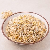 곰곰 새우와 잔멸치, 1.5kg, 1개