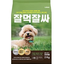 BG 세라믹 게코 습식 은신처 (소 중 대), 소