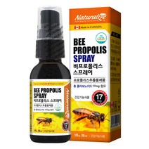 네추럴라이즈 비프로폴리스 스프레이, 30ml, 1개