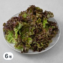 국내산 적상추, 150g, 6개
