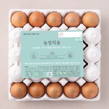 오늘낳은 농장직송 가농 오메가에그 1  등급 특란 25구, 1500g, 1개