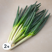 깐대파 국내산, 1kg, 2개