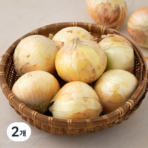 국내산 친환경 양파, 3kg, 2개