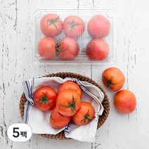 곰곰 토마토, 1kg, 5팩