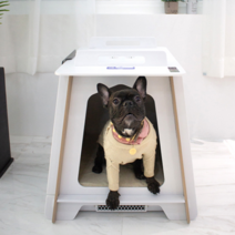 아베크 반려동물 토탈 살균 드라이룸, AHC-201DB, 댄디 베이지