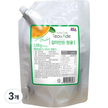 다미즐 갈아만든 청귤, 2kg, 1개입, 3개