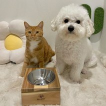 벨르펫홈 반려동물 원목 스테인리스 1구 식기 10cm, 혼합색상, 1세트