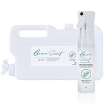 초록향기 피톤치드 스프레이 300ml + 리필 4L 세트, 1세트