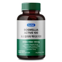 세비톨 보스웰리아 액티브 100 700mg, 120정, 1개