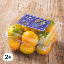 중문농협 황금빛 당도선별 감귤, 800g(2S~M), 2팩