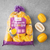 곰곰 당도선별 용암 꼬마참외 (10~14입), 2kg, 1봉