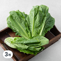 곰곰 포기 로메인, 500g, 3개