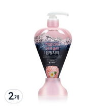 죽염 히말라야 핑크솔트 담은 펌핑 치약 플로럴민트, 285g, 2개