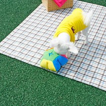 시소플레이 노즈워크 킁킁쿠션 소형, 혼합 색상, 1개