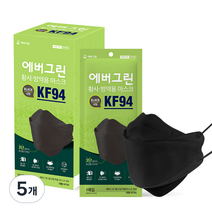 에버그린 황사 방역 마스크 대형 KF94, 25개입, 5개, 블랙