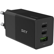 스카이 필 GaN65S USB-PD 고속 3포트 멀티충전기 어댑터 65W ZX-3U10T, 블랙, 1개