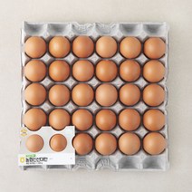 [로켓프레시] 신선 대란 1560g