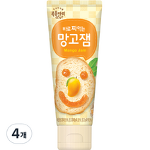 복음자리 바로 짜먹는 망고잼, 100g, 4개